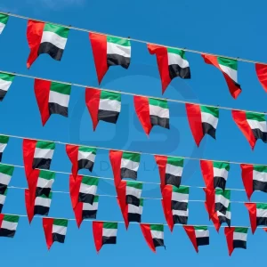 Bunting Flag Main Image