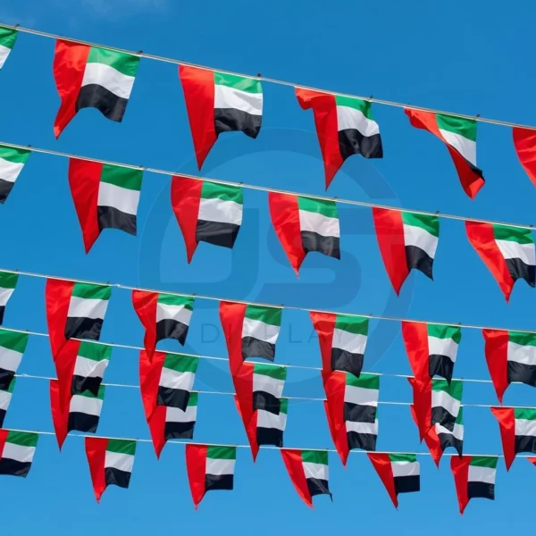 Bunting Flag Main Image