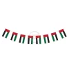 bunting flag-image-1