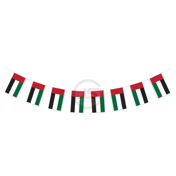 bunting flag-image-1